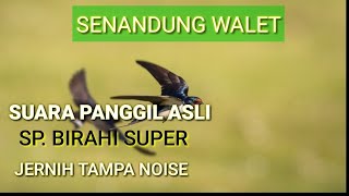 Download lagu Suara panggil ASLI  (SP. BIRAHI SUPER) mp3