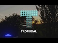 Night Guitar by TROPIKKAL