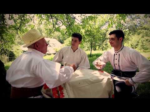 OVIDIU PURDEA SOMEȘ - Când eram acasă prunc