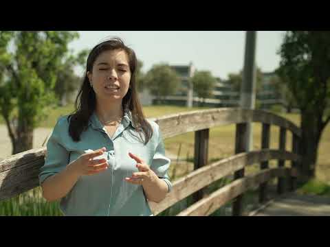 Shaping thought on flexible working play video