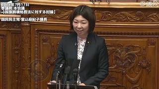 【国旗損壊処罰法】国民民主党・堂込麻紀子議員の本会議討論を徹底解説