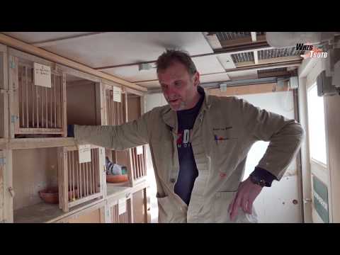 WHZB/TBOTB 2018 Winners - 1st Middle Distance: Kees van de Beek, Heerde (with English subtitles)