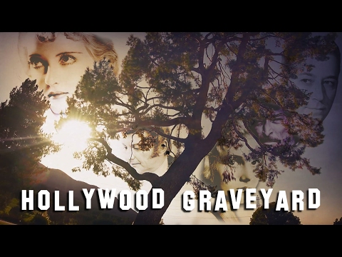 download lagu mp3 mp4 Forest Lawn Hollywood Hills Location, download lagu Forest Lawn Hollywood Hills Location gratis, unduh video klip Forest Lawn Hollywood Hills Location