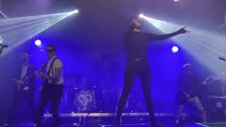 Creeper- poison pens Torquay March 2022