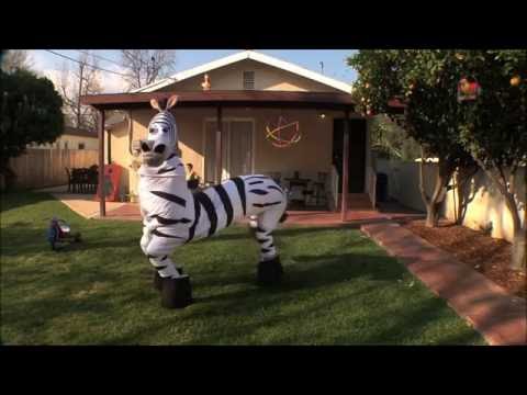 Dope Zebra Running Man Challenge
