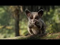 The Lion Sleeps Tonight Song Scene The Lion King 2019 Movie Clip