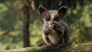 Download lagu The Lion Sleeps Tonight Song Scene - The Lion King 2019 Movie clip mp3