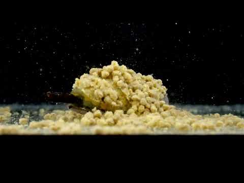 MIKADO - krmítko - method feeder shot q.m.f. system l - 40g - 2 ks