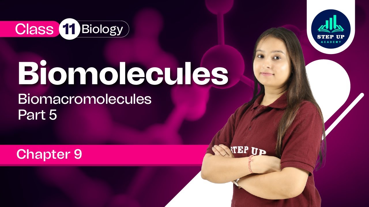 Biomacromolecules - Biomolecules Chapter 9 (Part 5) | Class 11 Biology (NCERT 2023-24)