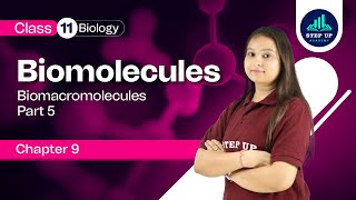 Biomacromolecules - Biomolecules Chapter 9 (Part 5) | Class 11 Biology (NCERT 2023-24)