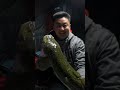 Video Thumbnail for Overnight Ice Fishing HUGE Burbot