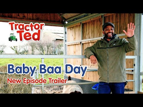 NEW Tractor Ted Trailer 🐑 Baby Baa Day | Tractor Ted Official