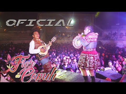 Amor Verdadero - Flor De Capuli Huaylia