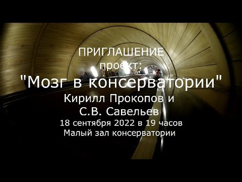 С.В. Савельев - Мозг в консерватории