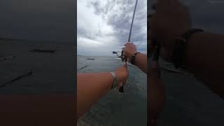 Cast &amp; Walk -D1 #fishing #fypシ゚viralシ #highlight #mancing #fishingvideo #follower #hobby #fitness