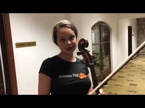 Ansamblul PlaCello, mulțumiri pentru elevii reghineni