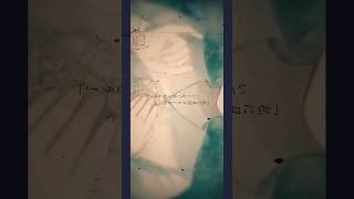 【4000回再生突破💐】あなたが明日も生きるなら。#shorts #歌ってみた #cover #私が明日死ぬなら #キタニタツヤ #jpop #カバー