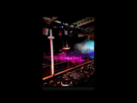 Colin Hamilton Lush 1999