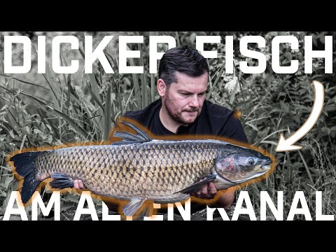 Stalking 🍞🎣 Session mit Tobias Pfliegel - Karpfenangeln