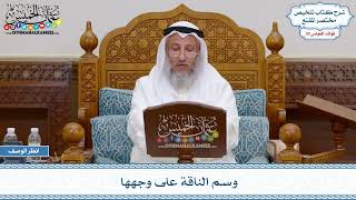 1584 - وسم الناقة على وجهها - عثمان الخميس