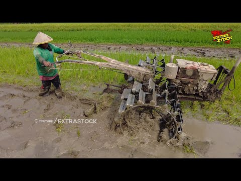 Hand Tractor Runs Fast Working on Long Land Like a Race Track