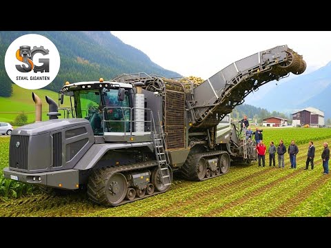 75 GIGANTISCHE MASCHINEN LANDWIRTSCHAFT | EXTREME RÜBENERNTE XXL ! LEISTUNG AUSSER NORM