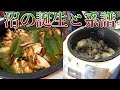 沼の誕生秘話と炊飯器で作る新たな減量食について!