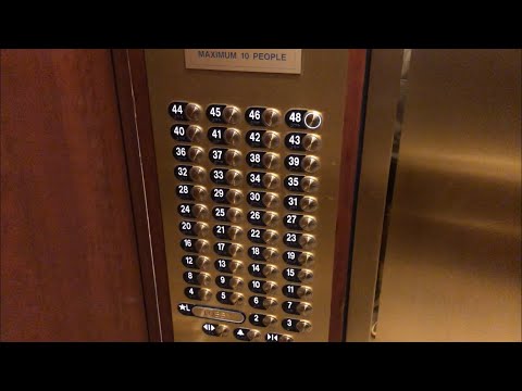 Dover High Rise Elevators @ Deez Nuts Pavilion - Chicago, IL.