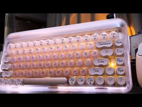 Bộ sưu tập Lofree Foundation - Chạm đến sự sang trọng