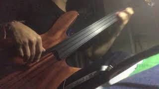 Video thumbnail for Rob Allen mb2 Fretless mb-2 by Spwfcm