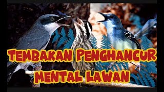 Download lagu tembakan brutal lemahkan metal lawan | pelatuk beras, ciblek kristal dan jinjing petulak mp3