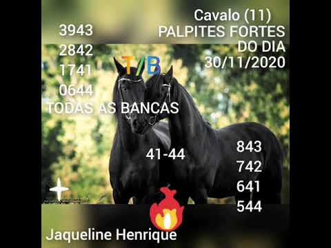 JOGO DO BICHO 30/11/2020 PALPITES FORTE DO DIA,  T/B
