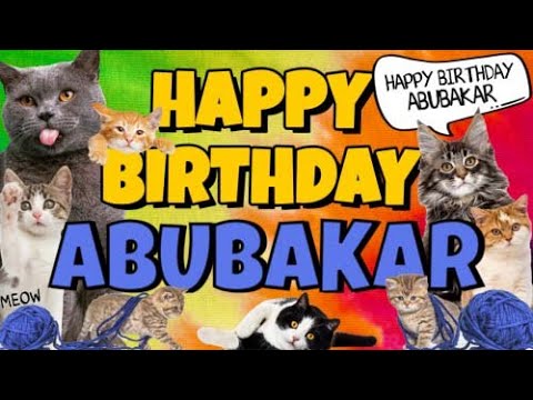 Happy Birthday Abubakar! Crazy Cats Say Happy Birthday Abubakar (Very Funny)