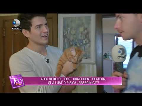 Teo Show (28.01.2019) - Alex Nedelcu, fost concurent Exatlon, si-a luat o pisica "Razboinica!"