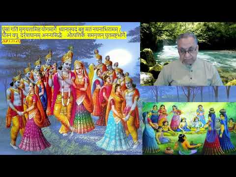 13_Sanat Kumaras' curse on dvara palakas_Nārāyaņeeyam_D 11 by Thiruvaiyaru S.R. Krishnan