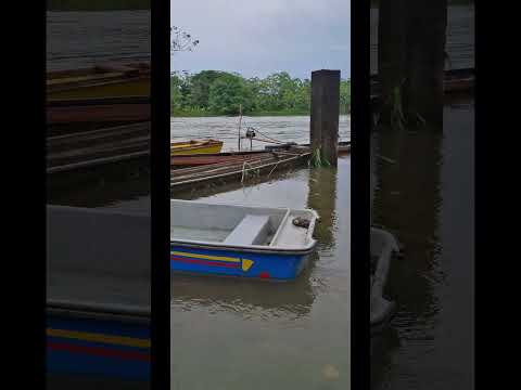 Subio el nivel del rio Atrato en Murindó Antioquia