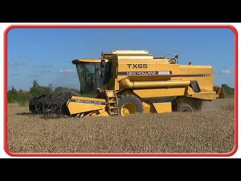 Farm DVD - bee bright - Out and About On the Farm - Incredible Crops!  Justin Fletcher