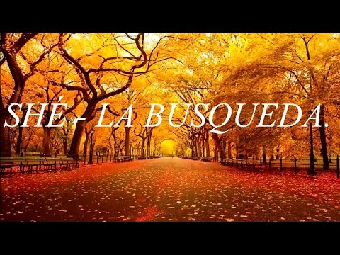 La busqueda - SHE | LETRA