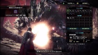 殲滅の主はまた鐘を鳴らす　散弾ヘビィソロ
