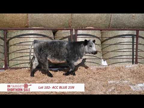 Lot 102- ACC BLUE 25N