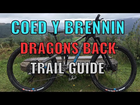 HOW GOOD IS COED Y BRENNIN DRAGONS BACK TRAIL? Ride guide and review