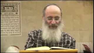 פרשת ויגש | הנהגת יוסף והנהגת יהודה (חומש הראיה) – הרב אורי שרקי