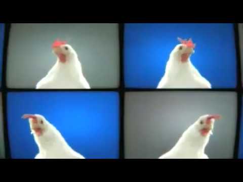 Chooki The Techno Chicken