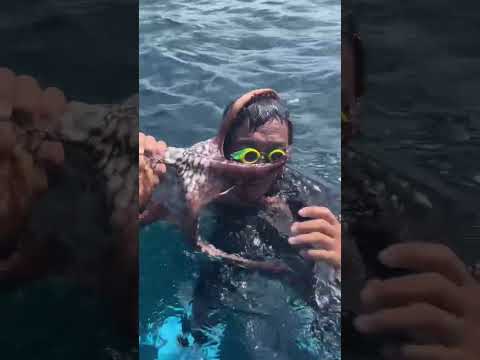 A Giant octopus 🐙 fighting for survival #fishing #squidfishing #seafoodprep
