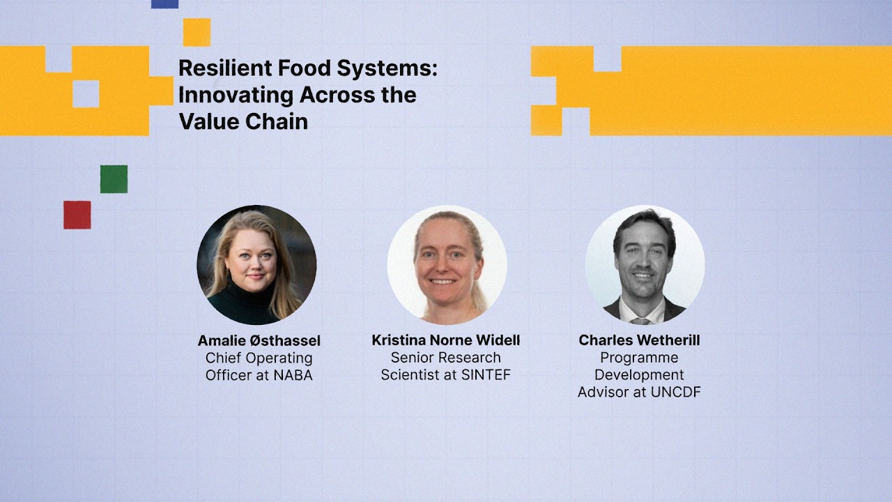 Why Africa's Food Systems Stay Fragmented And What Actually Changes Them