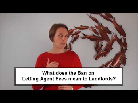 Ban on Letting Agent Fees to Tenants in Autumn Statement 2016