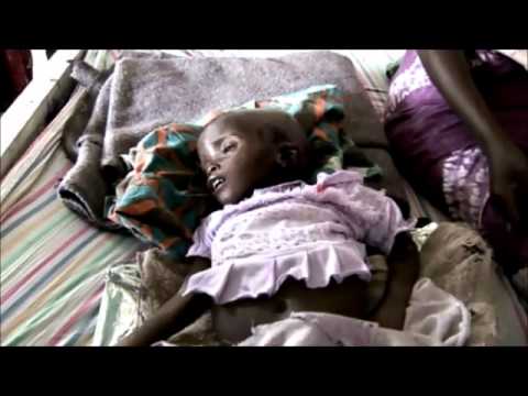 Signs of the times Matt 24 -2011