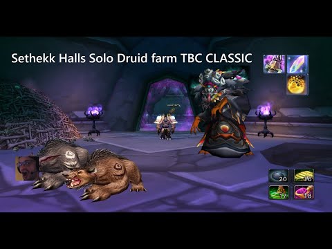 TBC CLASSIC - Sethekk Halls Feral Druid solo last boss Gold Farm