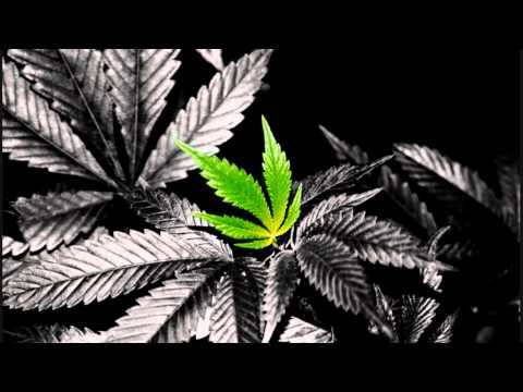 Collie Buddz Ft. Sean Paul - On My Way Back Home