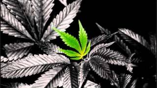 Collie Buddz Ft. Sean Paul - On My Way Back Home